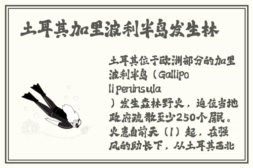 日本zljzljzljzlj医生